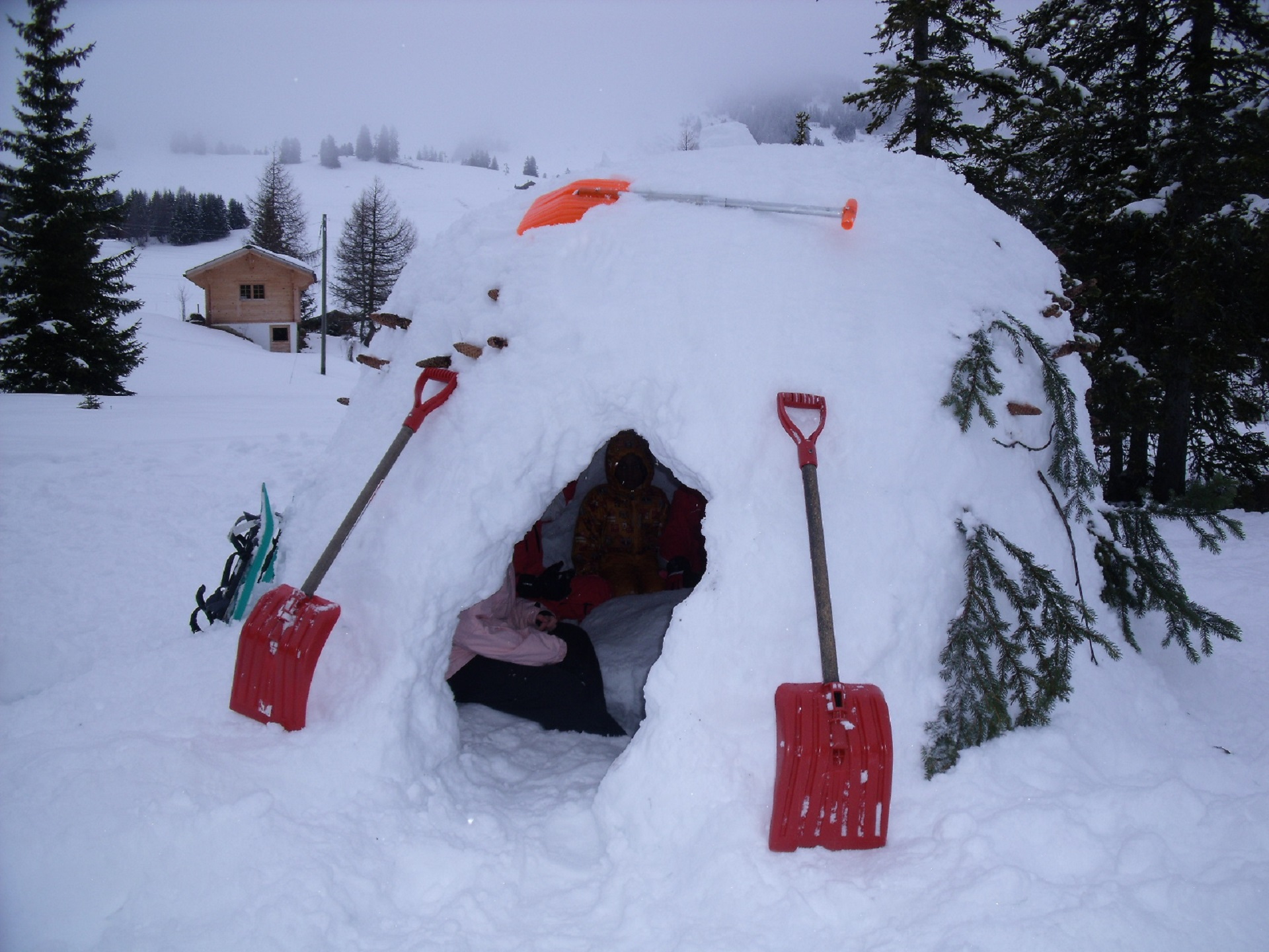 Survie dans la montagne enneigée 