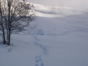 La construction d’igloo, comment&nbsp;?