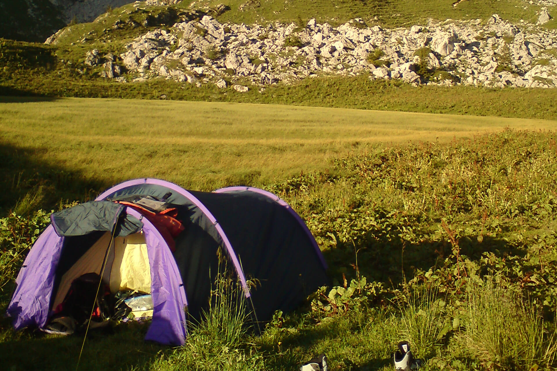 Trappeur Vs Wild